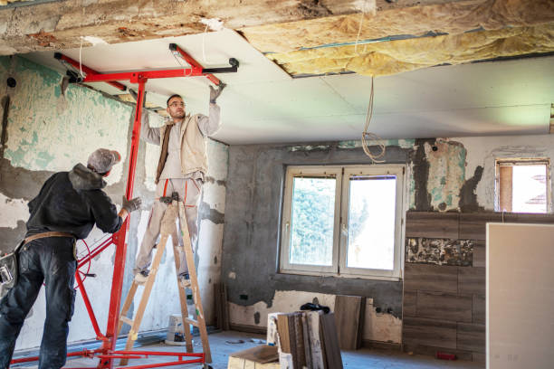 Best Professional Insulation Contractor  in Loudonville, NY